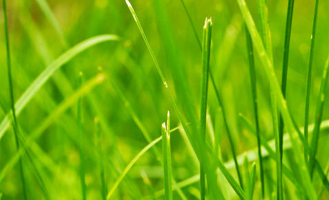 ddos压力测试平台